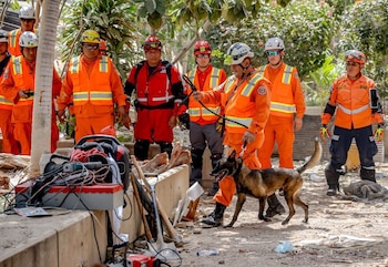 Cuando Rambo detectó una posible persona viva, ladró en el lugar y orientó la trufa hacia la dirección de la señal. (Cortesía: Voluntarios Salvadoreños)