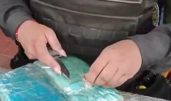 La droga incautada, valorada en