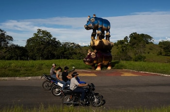 Una estatua de hipopótamos utilizada como atracción turística en la Hacienda Nápoles - crédito New York Times