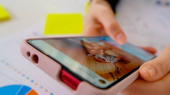 Dicen los expertos que los