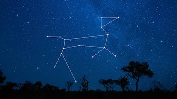 Constelación Can Mayor (Imagen de Star Walk, aplicación educativa de astronomía desarrollada por Vito Technology).