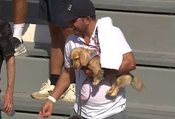 El fenómeno de los perros en el tenis alcanzó un nuevo nivel en la última temporada, con una presencia cada vez mayor de mascotas en torneos de elite (Captura de video)