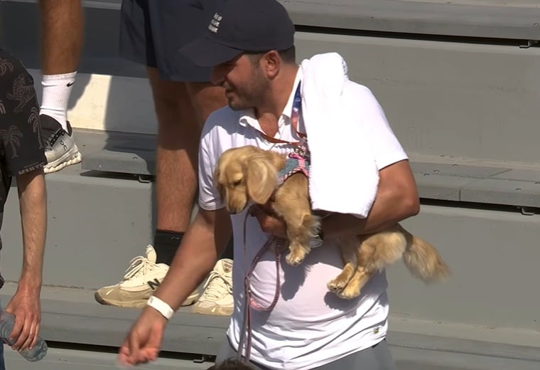 El fenómeno de los perros en el tenis alcanzó un nuevo nivel en la última temporada, con una presencia cada vez mayor de mascotas en torneos de elite (Captura de video)