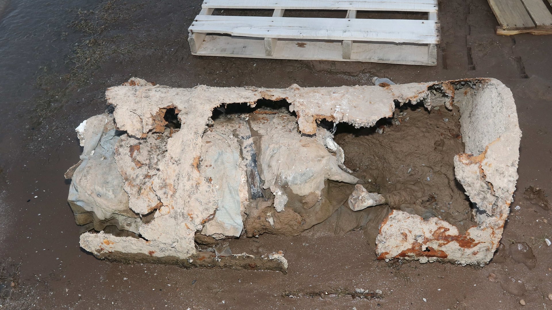 El misterio del barril en el lago Mead: identifican a la víctima de un asesinato cometido hace más de cuatro décadas