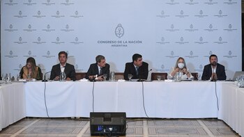 Reunión plenaria de las Comisiones