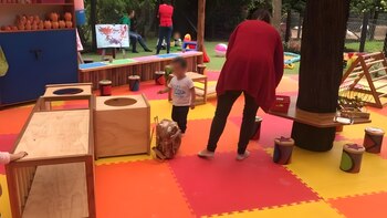 La instancia de Protección al