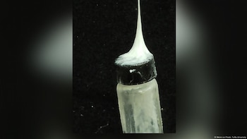 Investigadores de la Universidad de