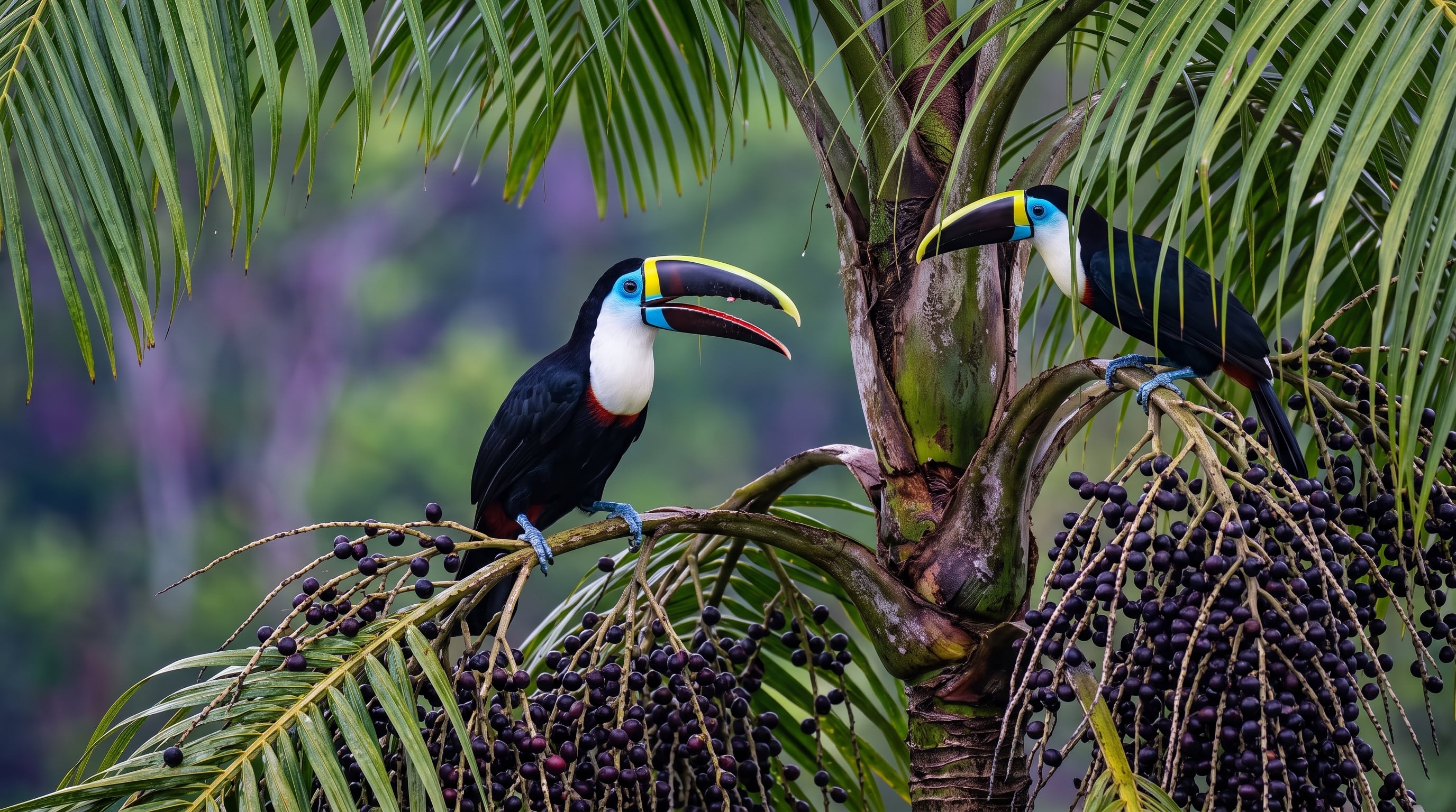 El estudio en 36 áreas forestales de Pará concluyó que los sectores con mayor concentración de palmeras de açaí registran una caída del 28% en la cantidad de especies de aves (Imagen Ilustrativa Infobae)