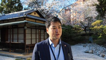 Washington celebra la primavera con