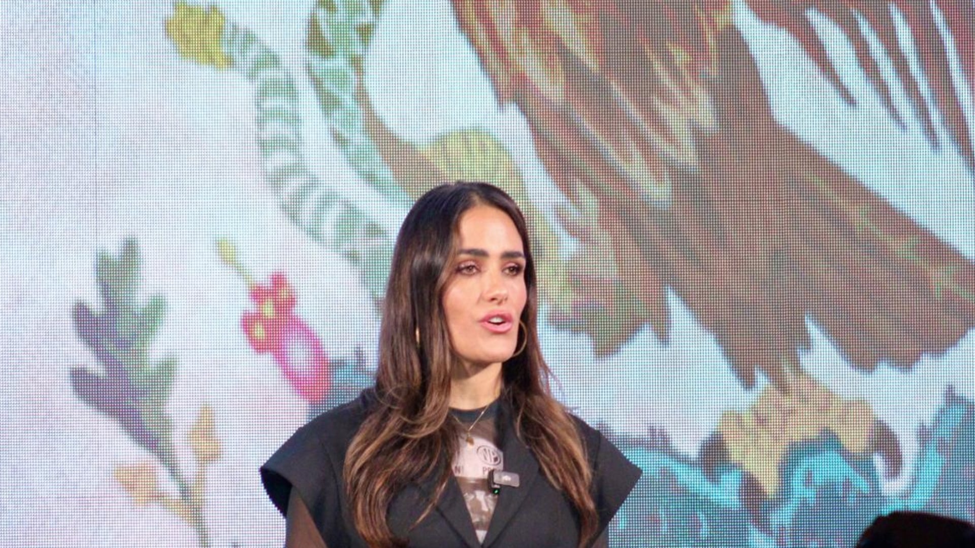 Alessandra Rojo de la Vega presentó la nueva estrategia territorial, enfocada en vigilar los procesos electorales, denunciar posibles vínculos entre el crimen y la política y promover contrapesos democráticos