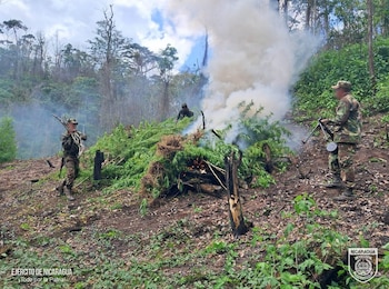 La intervención militar se desplegó en el marco del Plan de Seguridad en el Campo tras denuncias presentadas por productores locales. (Foto redes sociales Ejército de Nicaragua)