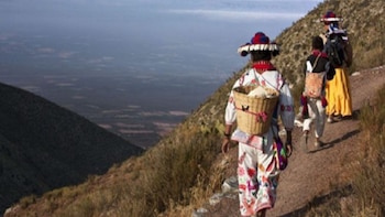 Suprema Corte da la razón a los pueblos indígenas y podrán ser representados colectivamente en amparos