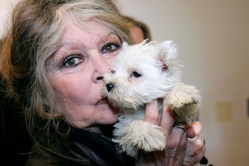 El activismo de la retirada