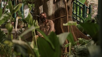 Realismo mágico para todo el mundo: “Cien años de soledad” se estrena en 190 países