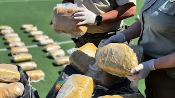La policía chilena decomisó 700 kilos de drogas avaluadas en más de USD 4,5 millones