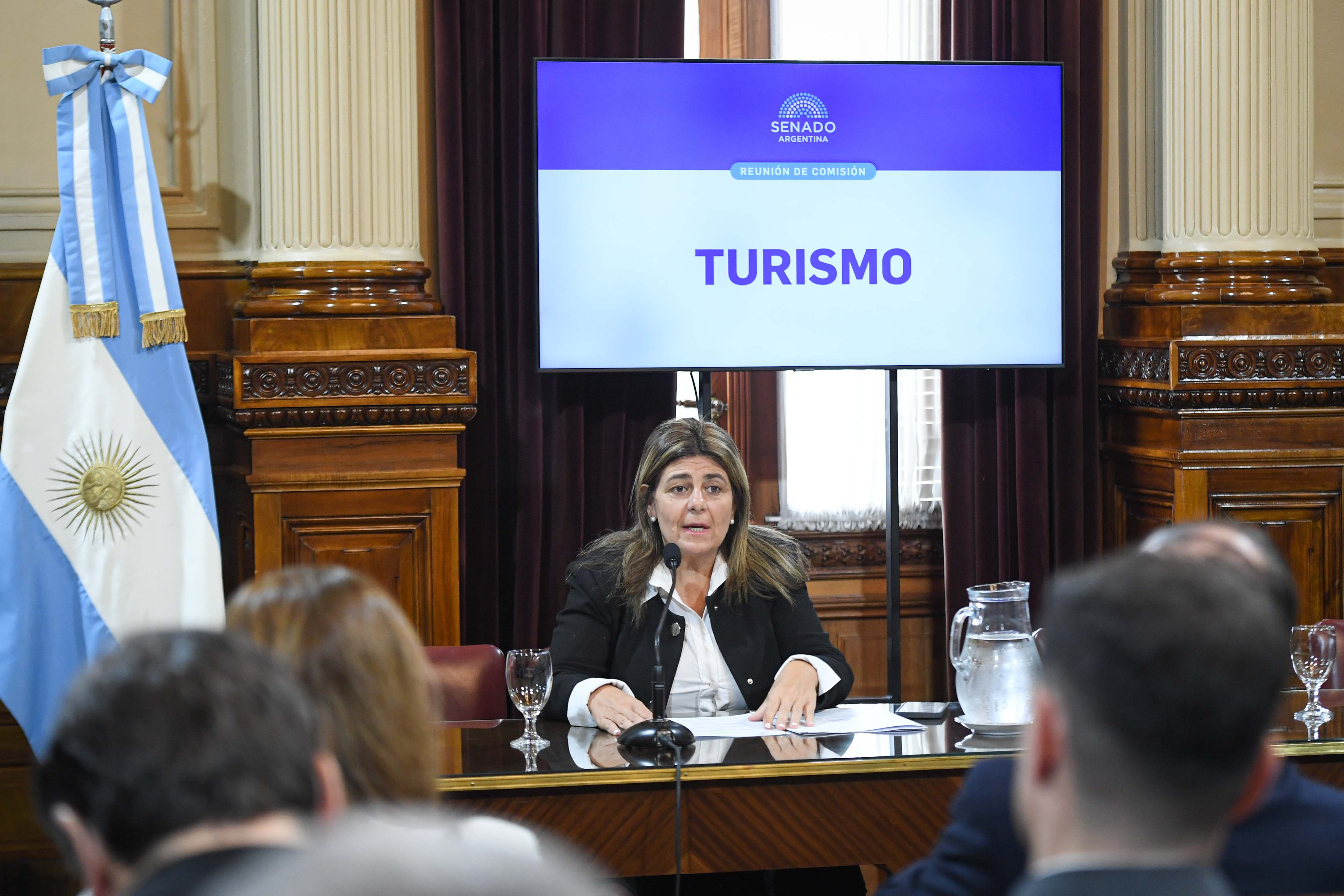 La legisladora radical Mariana Juri (Prensa Senado)