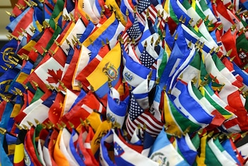 Imagen ID7QGOT4DVBFXOZAJCK5KWX3BM