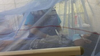 La ministra de Salud estimó