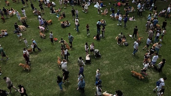 La organización del evento requirió