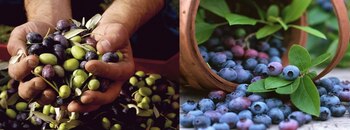 Producción de arándanos y aceitunas