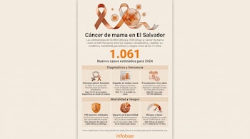 Infografía de tonos beige y anaranjados con el número 1.061, gráficos estadísticos y texto sobre el cáncer de mama en El Salvador.