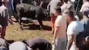 Uno de los animales que