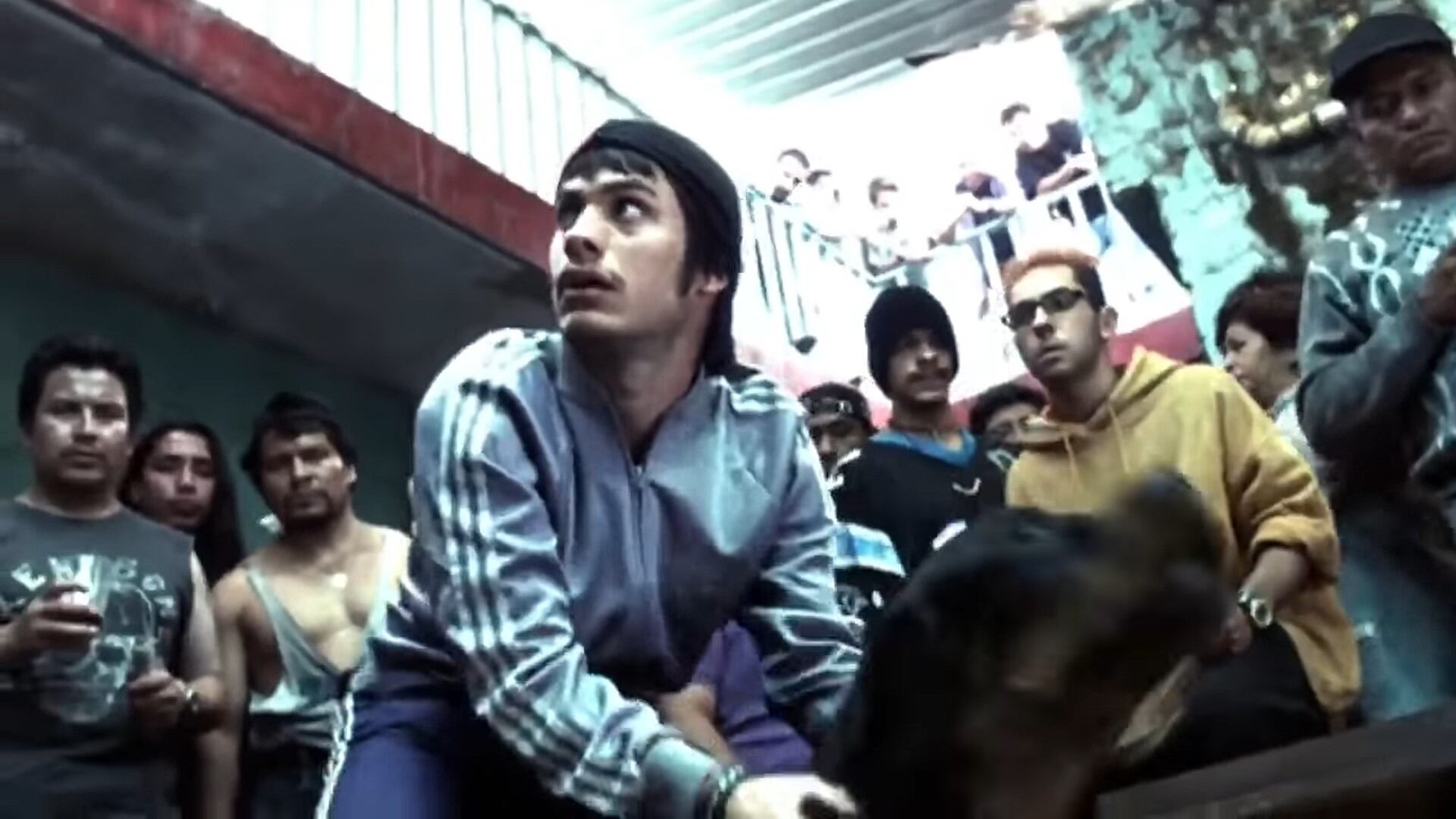 Amores Perros (Foto: Captura de pantalla)