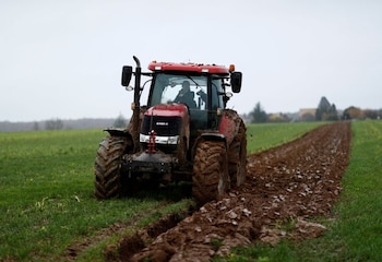 Foto de archivo. La granjera