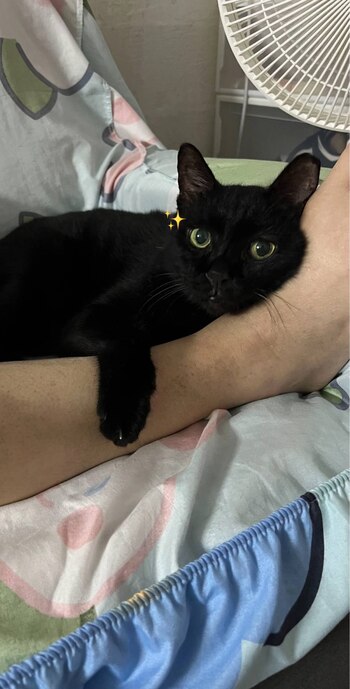 Happy comparte momentos invaluables junto