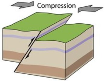 La UNAM analizó la zona