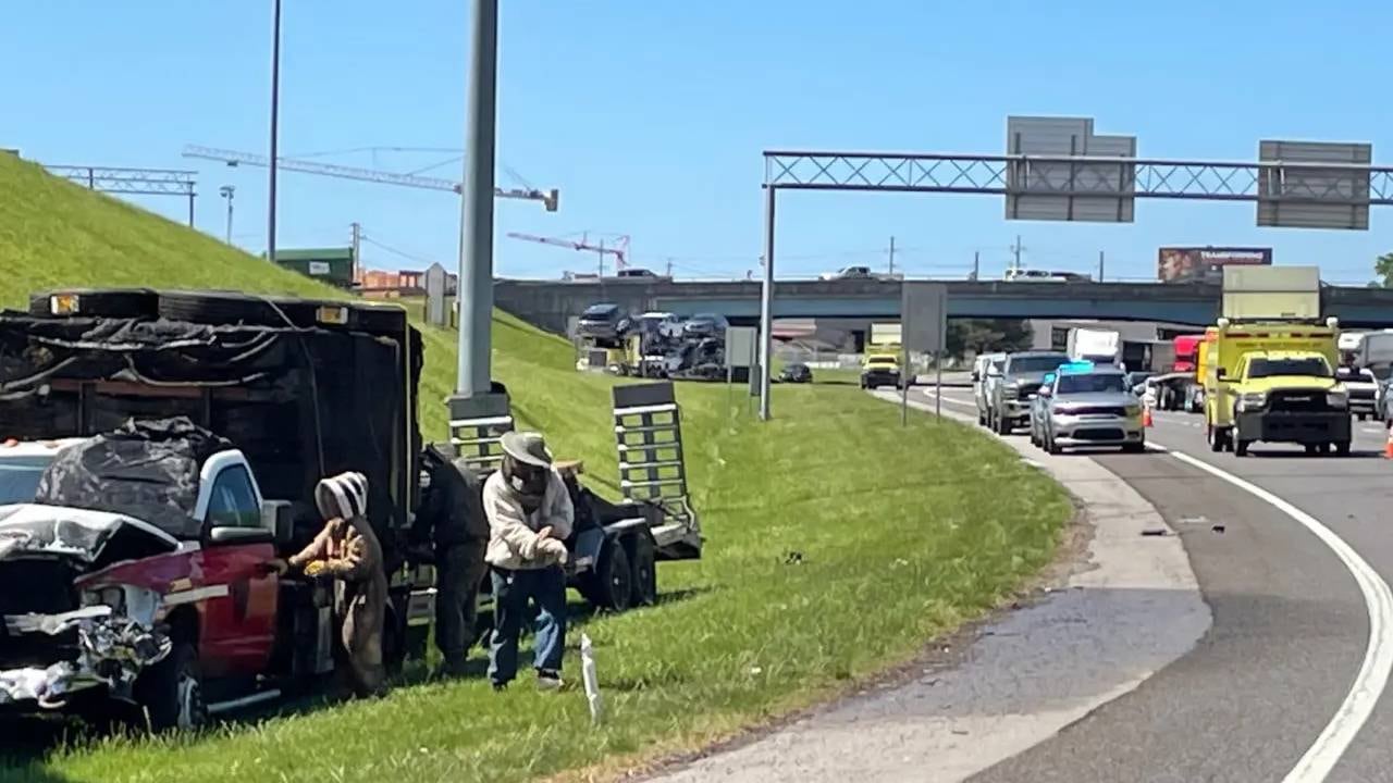 Un millón de abejas invadió la autopista Interstate 40 en Knoxville tras el vuelco de un camión que transportaba colmenas. (Mark Nagi/X)