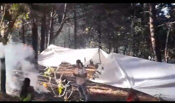 Los indígenas se abrieron