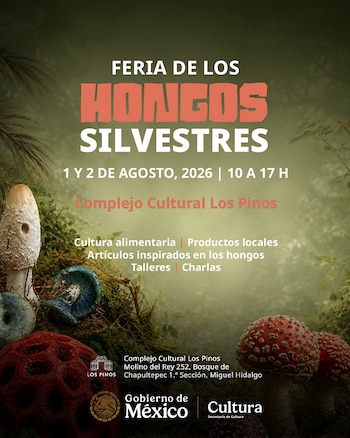 Un póster de fondo oscuro y verde con texto blanco y naranja. Muestra diversos hongos de colores blanco, azul y rojo sobre musgo y hojas
