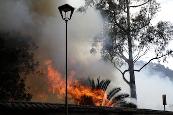 Fotografía de un incendio forestal el martes 25 de septiembre de 2024, en Quito (Ecuador). EFE/ Santiago Fernández