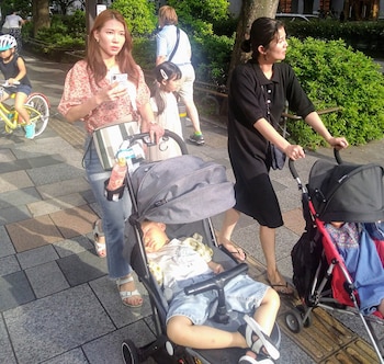 La tasa de fertilidad cae