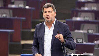 El eurodiputado Nicolás González (PSdeG)
