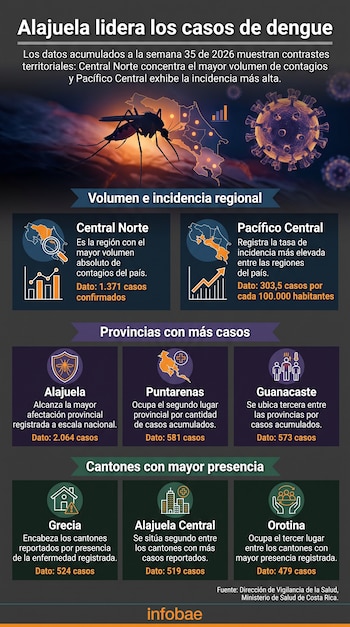 Infografía con mapa de Costa Rica, un mosquito, un virus y tarjetas con cifras de dengue por provincias y cantones.