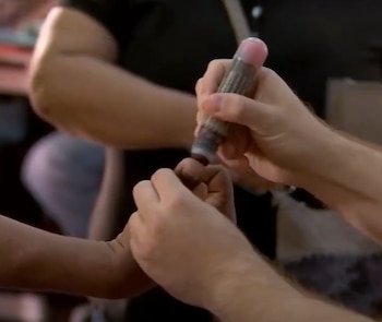 Los ingredientes que contiene la