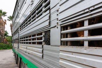 Lo que Luciana encuentra apasionante