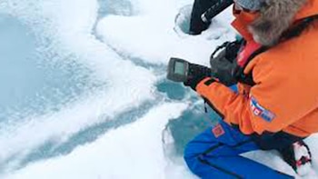 Su capacidad de procesamiento permite