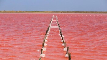 Las Salinas de Galerazamba, ubicadas