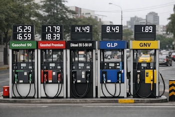 Cinco surtidores de combustible con mangueras, boquillas, pantallas de precios. Hay etiquetas de Gasohol 90, Gasohol Premium, Diésel, GLP, GNV.