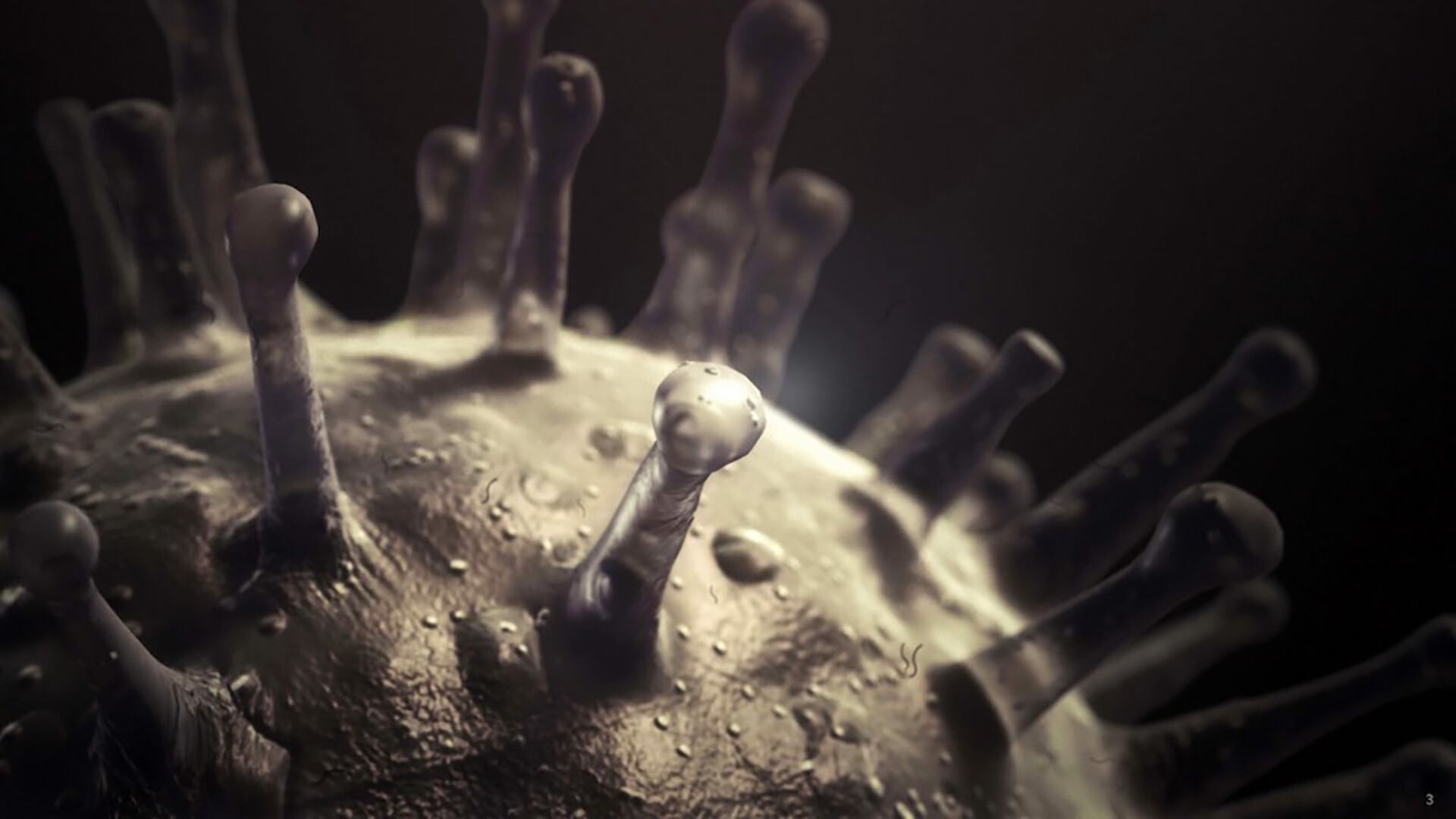 Con el primer caso del virus del Nilo Occidental en Maryland, los residentes de DC deben estar alerta y seguir las recomendaciones de prevención. (Archivo Infobae)