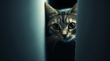 Las manifestaciones extremas de esta