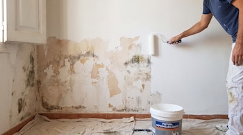 Hombre aplicando pintura sobre una pared. La pared presenta moho, humedad y descascaramiento. Hay un cubo de pintura y una lona en el suelo.