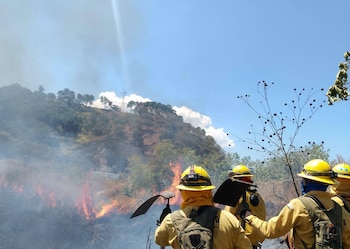 Un equipo de bomberos forestales