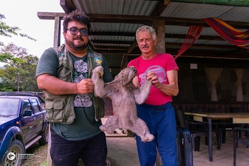 El animal permanecerá en cuarentena para descartar heridas antes de ser liberado.