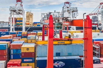"La incorporación de herramientas digitales mejoró notablemente la operatoria y permitió que tanto importadores como exportadores tengan más información para tomar decisiones", confiesa Gabriel (Foto: Shutterstock)