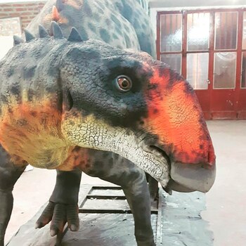 En esta oportunidad, le pidieron