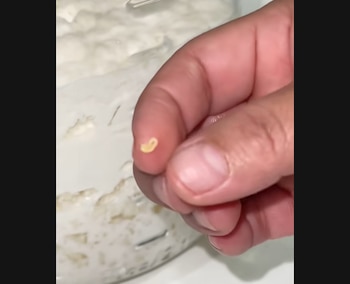 Así se ven los búlgaros